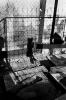 Fabio Sgroi - Beograd_6