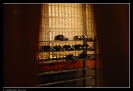 Gianfranco Spatola - Japan_9