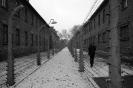 Gianfranco Spatola - Olocausto_22