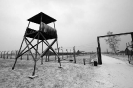 Gianfranco Spatola - Olocausto_8