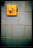Isabella Conticello - Shots_12