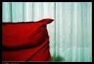 Isabella Conticello - Shots_1