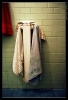 Isabella Conticello - Shots_4
