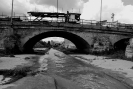 Oreto Bandita 2014_11