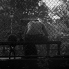 Paolo Barbera - NY Berlin_7