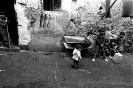 Salvo Fundarotto - Shots_5