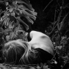 Silvia Andretti - Vintage_2